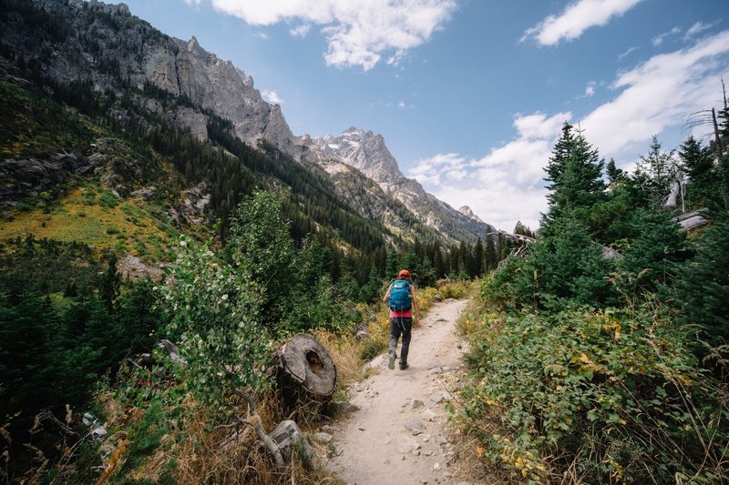 Beautiful views abound in Grand Teton National Park.