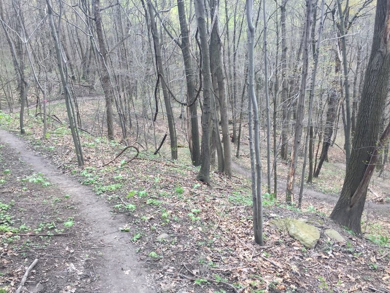 Some switchback action on the Witch Hazel Trail.