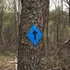 A trail marker on the Witch Hazel Trail.