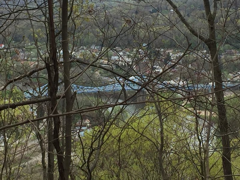 The view from the top of the Witch Hazel Trail.