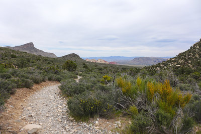 View of Turtlehead Peak after crossing the ridge line.