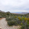 View of Turtlehead Peak after crossing the ridge line.