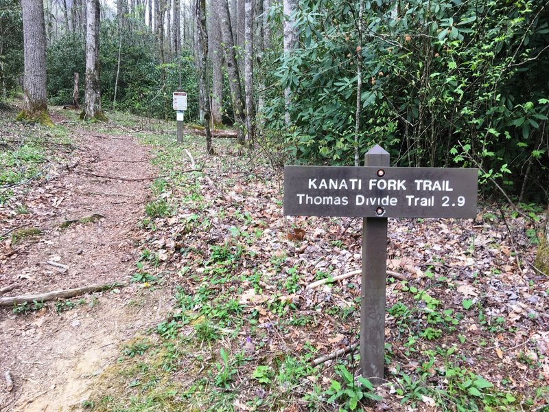 The Kanati Fork Trailhead.