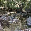 Water is abundant in Panther Canyon.