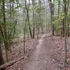 Trails are easy to follow in Bacon Ridge Natural Area.