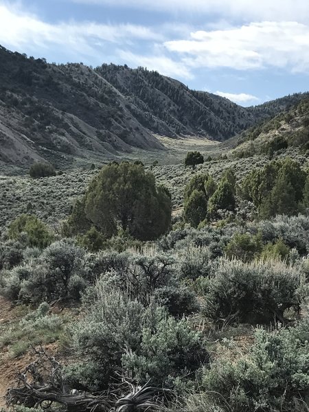 The view of the first three miles up 2nd Gulch.