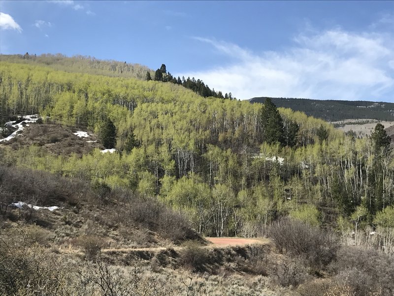 About 1.5 miles on Hardscrabble Road which is still a beautiful setting.