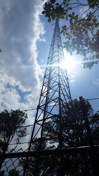 A tall communications tower stands at the summit of Vineyard Mountain.