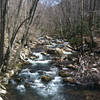 Little Stony Creek along the Cascade Falls Trail.