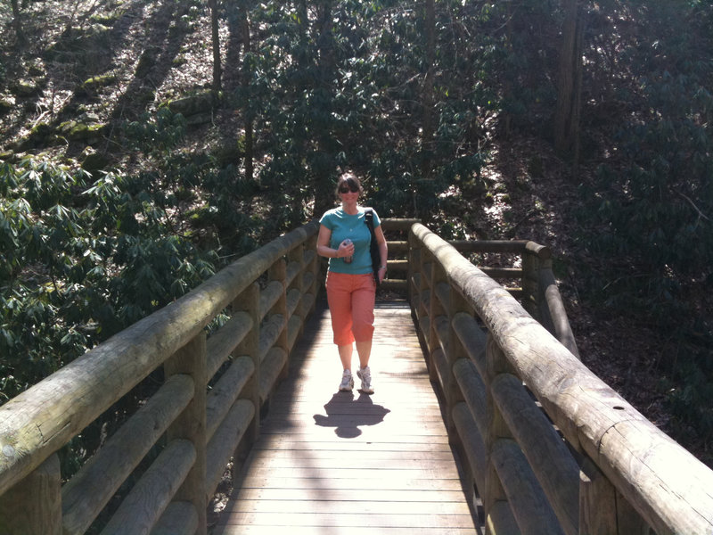 A bridge along the Cascade Falls Trail.