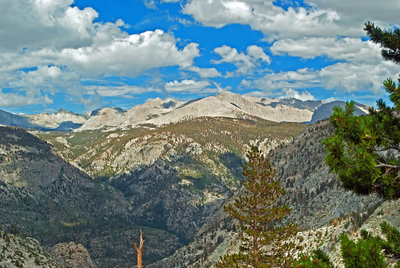 Form near top of climb to Picket Creek. Looking up Tyndall Cr. to the left, with Tawny Point in the center and Mt. Tyndall behind it.