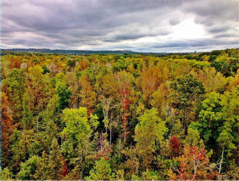 Stunning fall colors seen from the High Bridge on the High Bridge Trail.