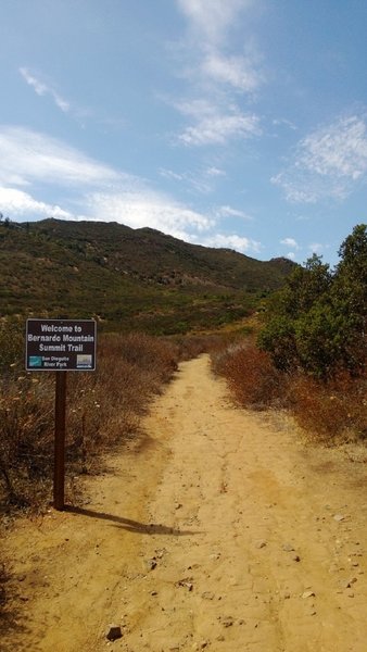 At the bottom of the Bernardo Mountain Summit Trail, you get a good view of what you're about to conquer!