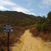 At the bottom of the Bernardo Mountain Summit Trail, you get a good view of what you're about to conquer!