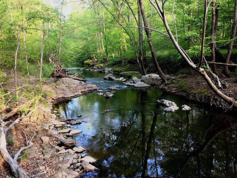 Exposed rock show along Morgan Creek.