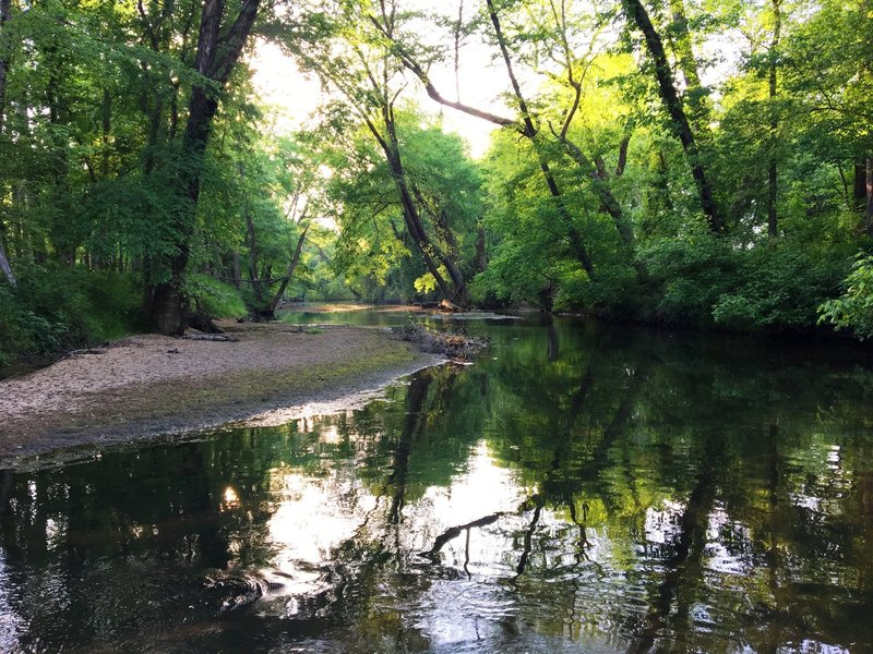 After a day enjoying the trails at Mason Farm Biological Reserve, head north from the parking area to enjoy a quiet lunch by Morgan Creek before hopping in the car.