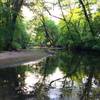 After a day enjoying the trails at Mason Farm Biological Reserve, head north from the parking area to enjoy a quiet lunch by Morgan Creek before hopping in the car.