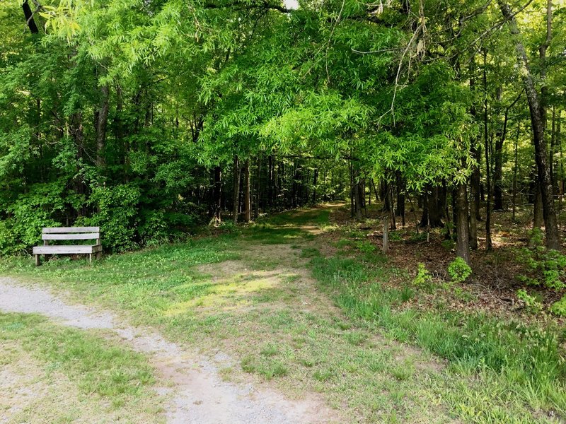 The beginning of the Shagbark Hickory Trail.