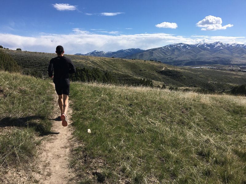 Great views of Pocatello from the Roosevelt Trail.