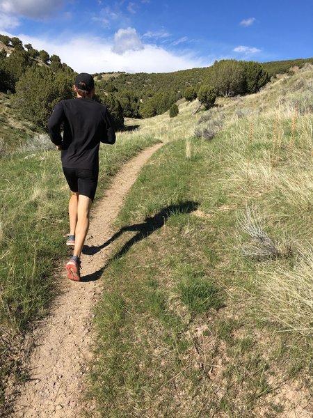 The first mile climbs the most, heading up the ravine.