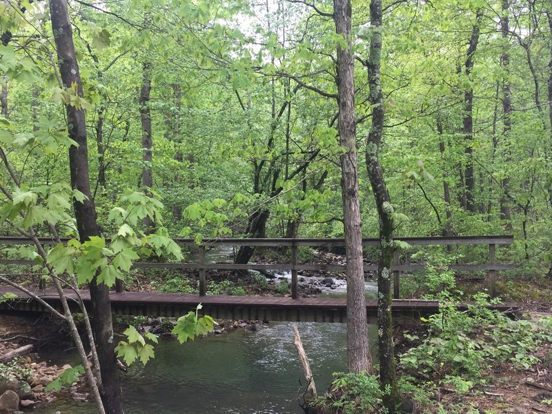 Ouachita River here is just a wee babe. It's source is a mere mile away.