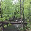 Ouachita River here is just a wee babe. It's source is a mere mile away.