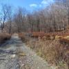 Part of the Yellow Trail intersects with this working road to a pump station just east of here.