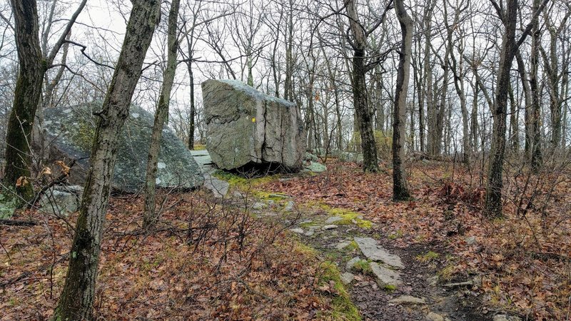 There are interesting glacial rock deposits to explore along the Yellow Trail.