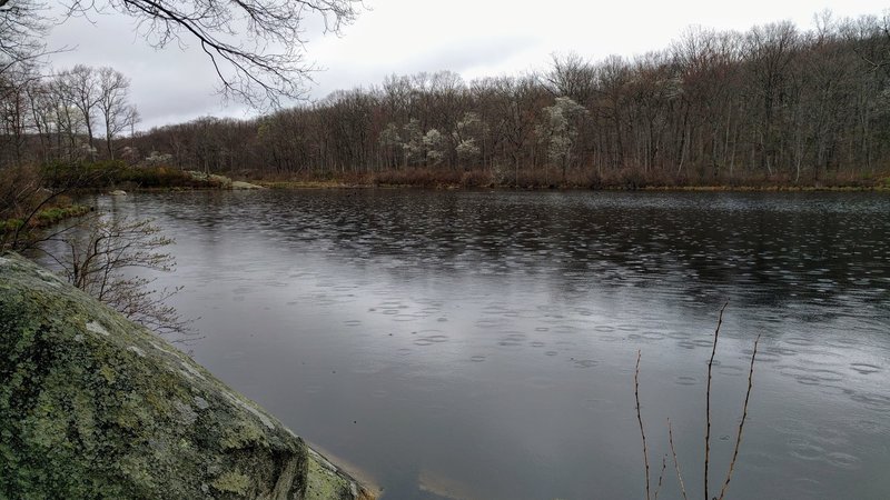 Weldon Brook Lake is a great place to spy turtles, ducks, water snakes, and a great blue heron.