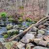 Yellow Trail is a great family hike with many interesting features to keep the kids occupied - like this small brook crossing.