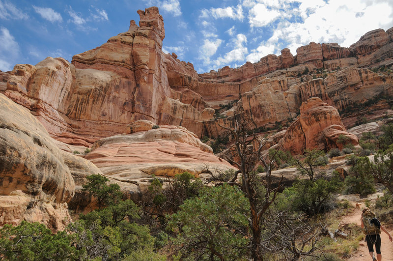 Beautiful views shortly before the final ascent to Druid Arch.