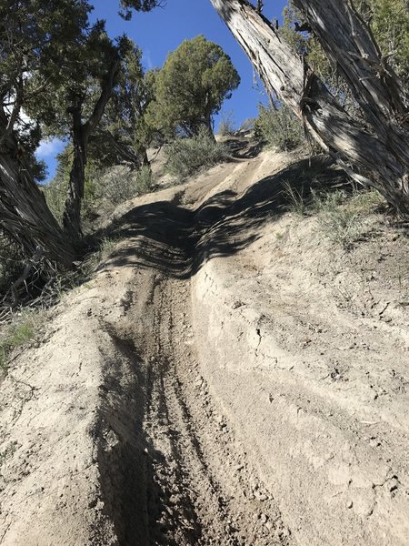 Down lower, the trail gets quite rutted and dusty.