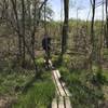 A hiker crosses the bog near Cub Lake.