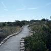 A quail runs along the trail as it winds its way along the hill.