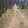 Near the start of the Mt. Baldy trail.