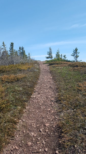 Picture of the rocky path up Mt. Baldy.