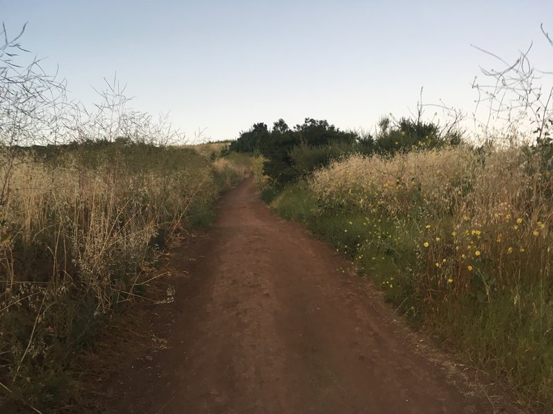 The main straightaway just before the last switchbacks. This is what most of the trail looks like.