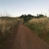 The main straightaway just before the last switchbacks. This is what most of the trail looks like.