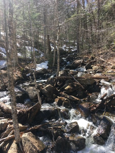 A stream crossing along the Moosilauke Carriage Road.