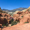 Spring colors in the desert canyons.