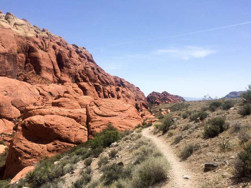 Skirting the Red Rocks on the Grand Circle Loop.