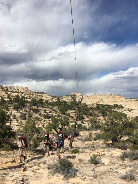 The historic telegraph wire, which you'll follow on most of the Boulder Mail Trail