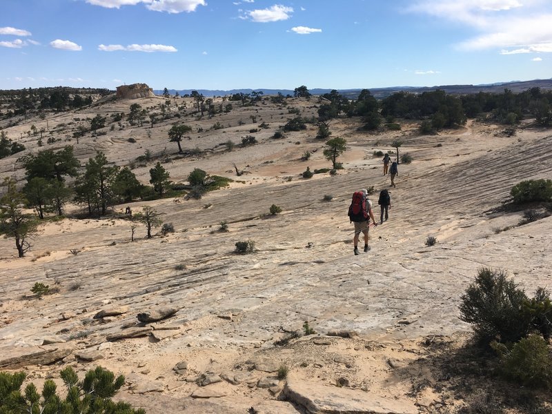 More slickrock on the Boulder Mail Trail.