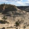 Camp at the edge of Death Hollow.