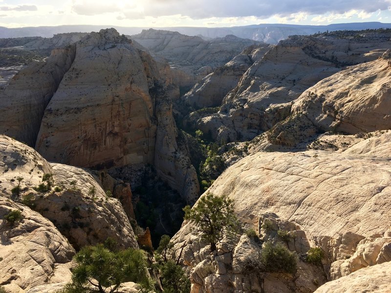 The view into Death Hollow.