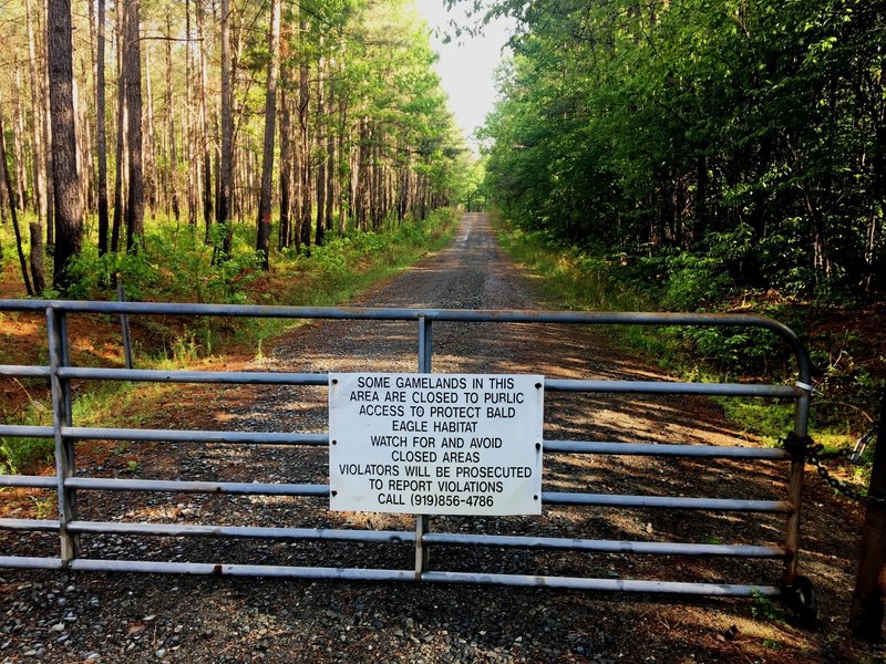 Spring/summer gate on Transis Camp Road.