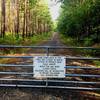 Spring/summer gate on Transis Camp Road.