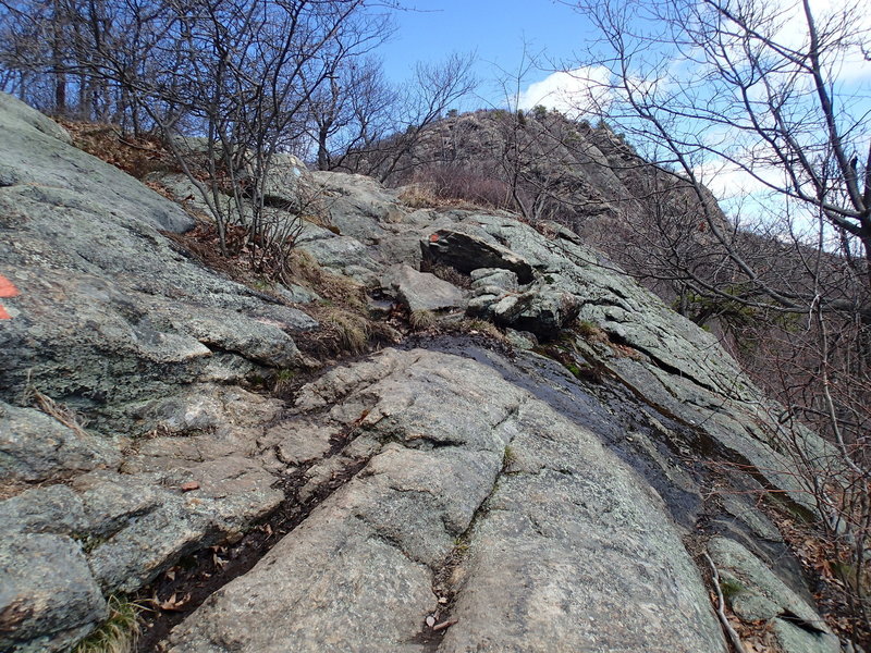 The trail up Butter Hill is marked by paint stripes on its rocky tread.