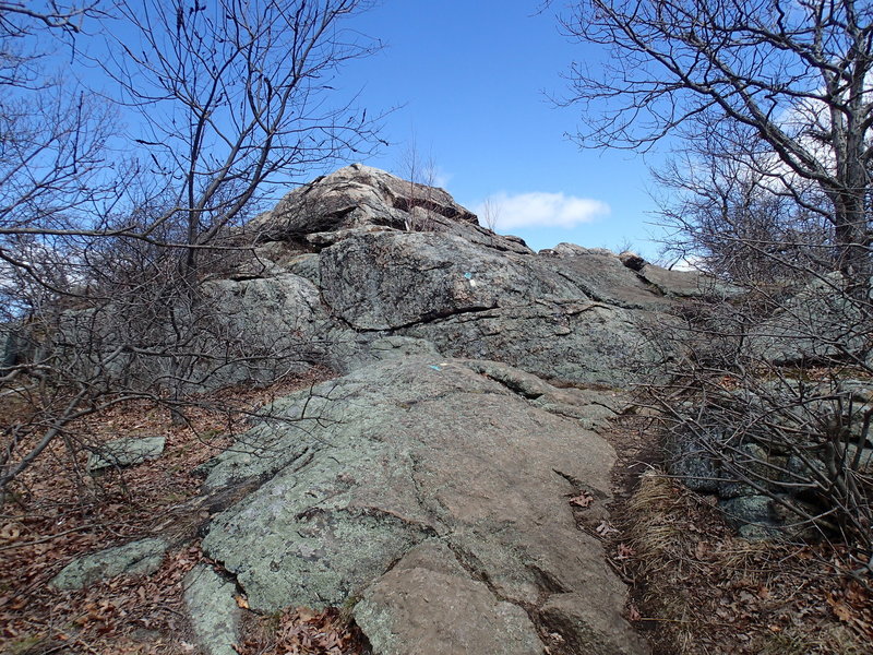 Highlands Trail on Butter Hill.