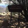 Entering the Golden Trout Wilderness.